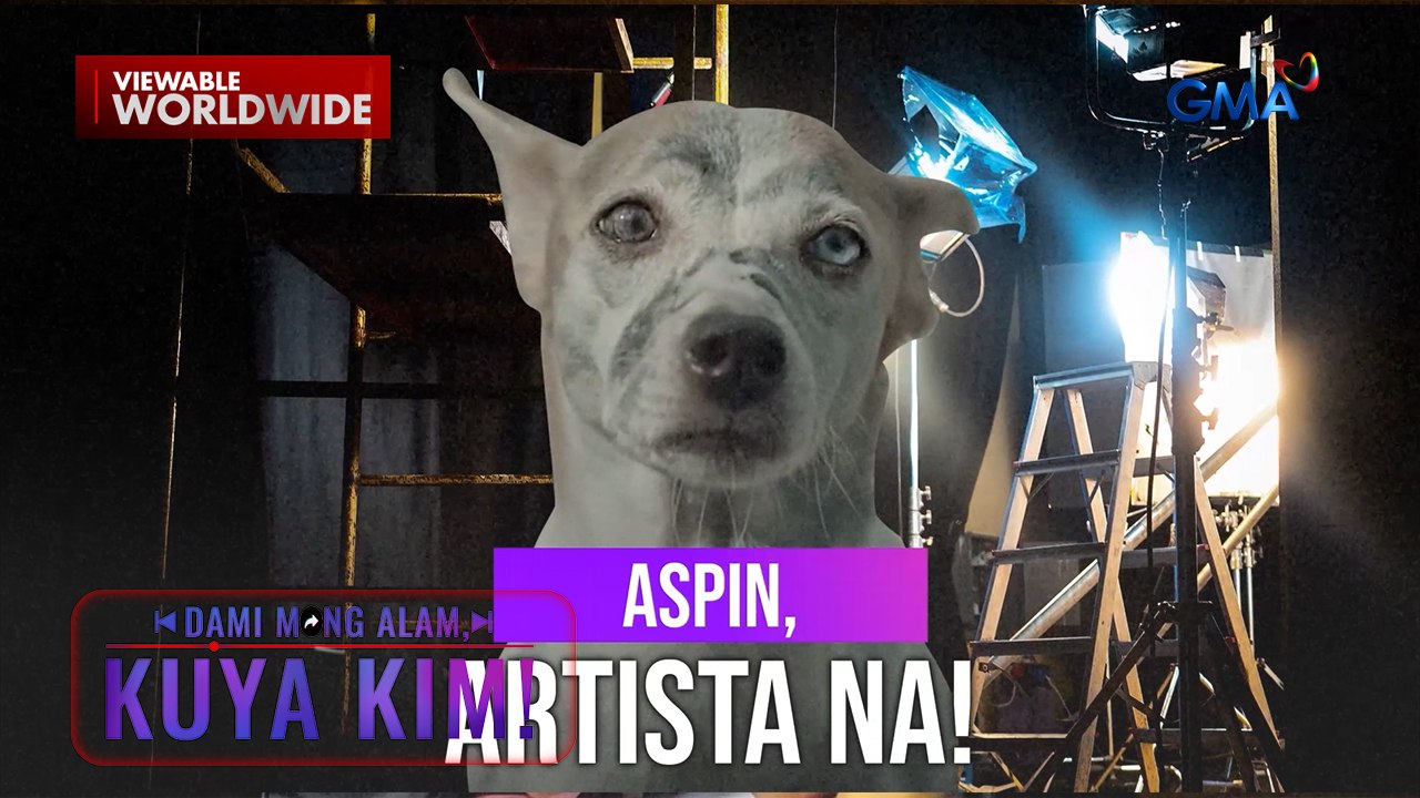 Stray aspin noon, artista na ngayon! | Dami Mong Alam, Kuya Kim!