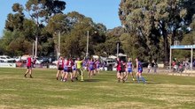 HDFNL North Bendigo v White Hills. July 5, 2025.