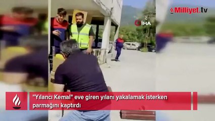 Eve giren yılanı yakalamak isterken parmağını kaptırdı
