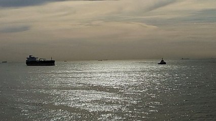 Türk Sanat Müziği - İnleyen Nağmeler