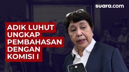 Adik Luhut Ungkap Pembahasan dengan Komisi I DPR Saat Jalani Fit and Proper Test Calon Dubes Tokyo