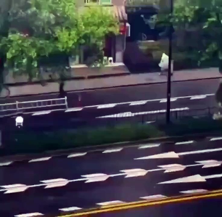 Father and daughter dancing on their walk #father #bond #dancing