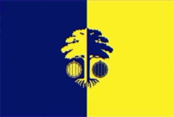 Flag of Straseni District. Bendera Raion Straseni. Straseni District Flag. Flag of District of Straseni. District of Straseni Flag. Steagul raionului Strășeni. Bandeira do distrito de Straseni.Drapeau du raion de Straseni. Bandera del distrito de Straseni