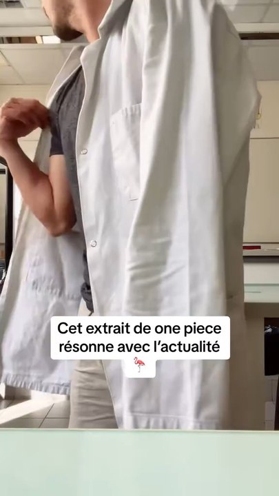 Cet extrait de one piece résonne avec l’actualité 🦩