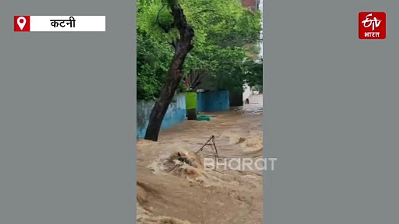 महाकौशल में इंद्रदेव का कहर, कटनी में बेडरूम बने स्विमिंग पूल, बाढ़ का अलर्ट जारी