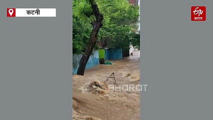 महाकौशल में इंद्रदेव का कहर, कटनी में बेडरूम बने स्विमिंग पूल, बाढ़ का अलर्ट जारी