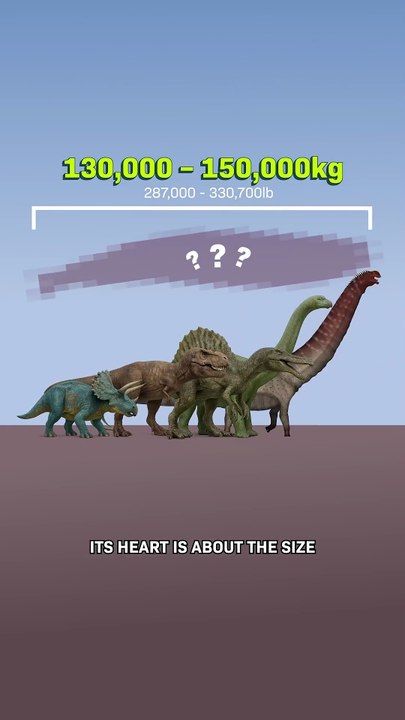 How Big is the Biggest Animal EVER？
