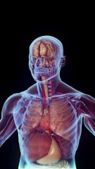 watch till end 😱 #shorts