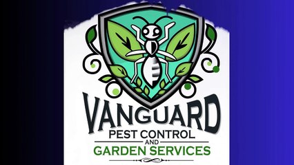 Vanguard Eco Solutions-Targeted treatments with safe and effective products