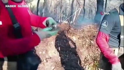 İzmir yangınında itfaiyeciler balığı kurtardı