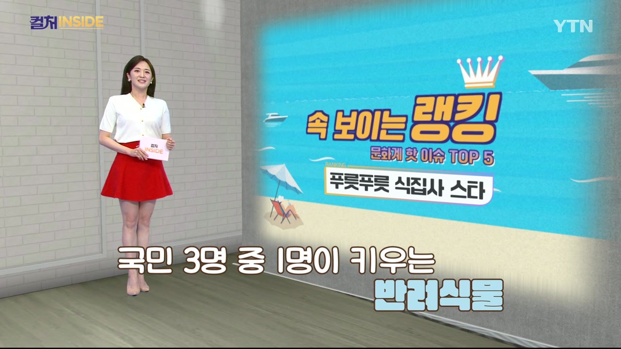 [컬처인사이드] 속 보이는 랭킹 - 푸릇푸릇  식집사 스타 TOP 5 / YTN