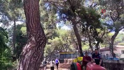 Antalya Muratpaşa’da orman yangını