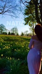 Beautiful Flowery Day In Spring | Spring Season #shorts