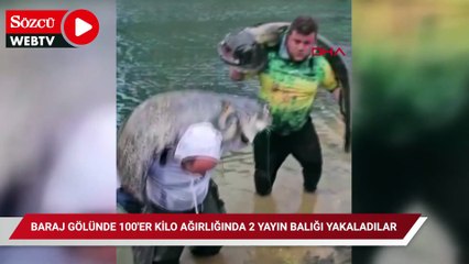 Baraj gölünde 100'er kilo ağırlığında 2 yayın balığı yakaladılar