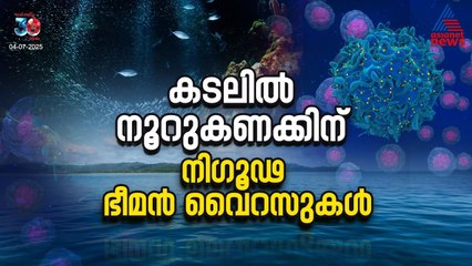 ഭീമൻ വൈറസുകളെ കണ്ടെത്തി ശാസ്ത്രലോകം