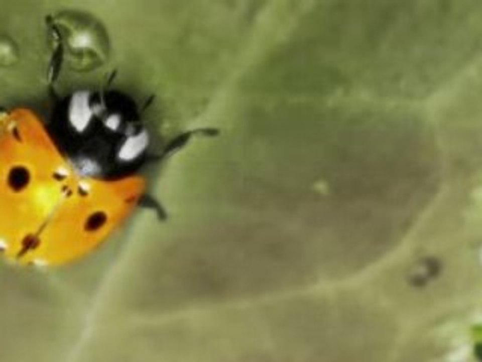 Demo reel 3d Animation Daniel Arnal Lacalle