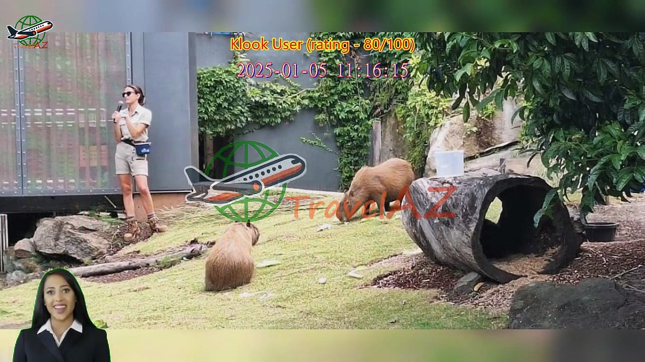 Review Hop On Hop Off Cruise from Circular Quay or Darling Harbour