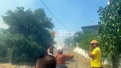 Φωτιά στην Αλυκή Βοιωτίας