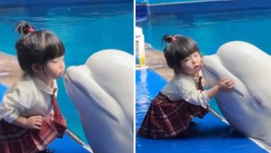 Herzerwärmendes Video: Mädchen und Beluga tauschen Zärtlichkeiten am Beckenrand aus