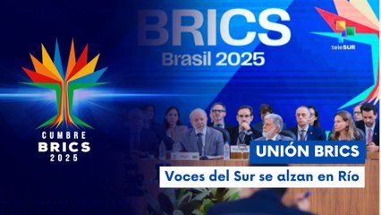 Inicia el Foro Empresarial BRICS con la participación de gigantes industriales