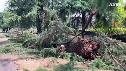 Maltempo nel Bergamasco, a Caravaggio abbattuti cartelli stradali e piante