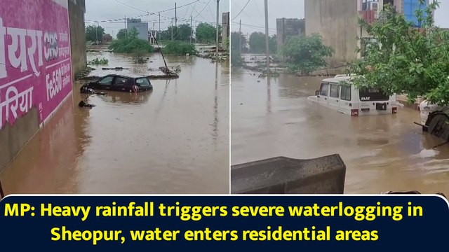 MP: Heavy rainfall triggers severe waterlogging in Sheopur, water enters residential areas