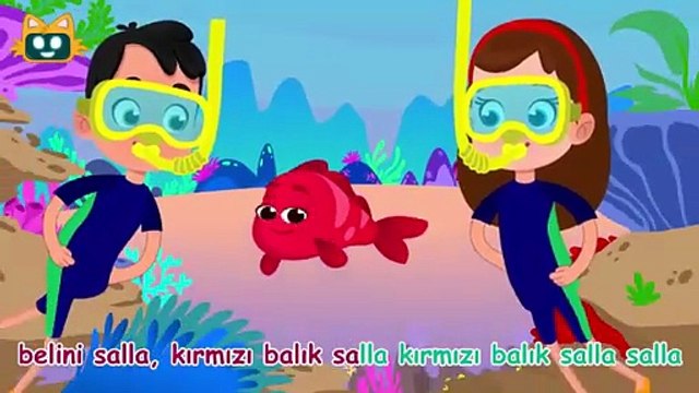 Kırmızı Balık ve Balıkçı Hasan Şarkısı | Daha Fazla Miniyo Çocuk Şarkıları