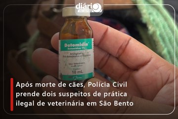 Após morte de cães, Polícia Civil prende dois suspeitos de prática ilegal de veterinária em São Bento