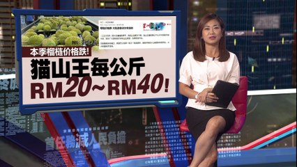 本季榴梿价格跌   猫山王每公斤RM20-RM40！