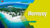 Dale Play | Conoce el Parque Nacional Morrocoy: Un paraíso con sello venezolano
