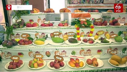 ਯੋਗੀ-ਮੋਦੀ ਅੰਬ ਦਾ ਜਲਵਾ, ਜਾਣੋ ਕਿਉਂ ਰੱਖਿਆ ਇਸਦਾ ਇਹ ਨਾਂ, ਕੀ ਹੈ ਵਿਸ਼ੇਸ਼ਤਾ ?