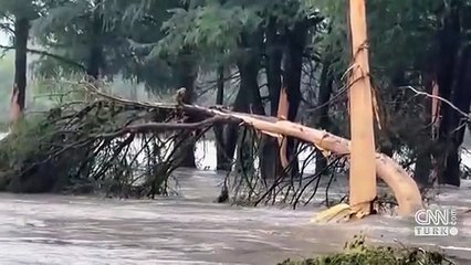 Texas’ta sel felaketi: 9'u çocuk 27 ölü