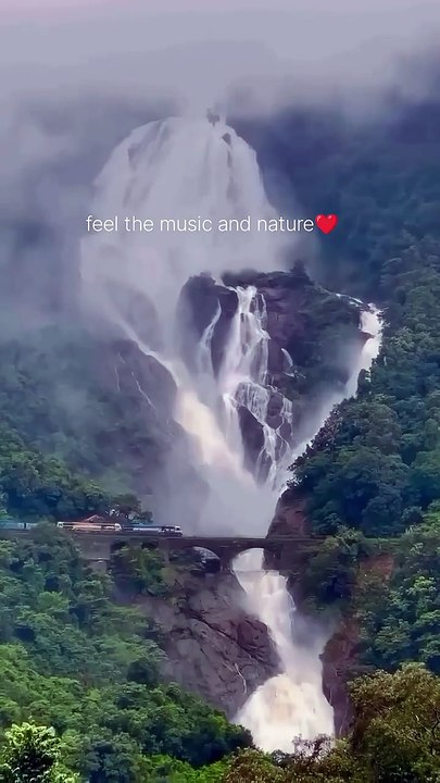 feel the music and nature❤️ #shorts#viral#peace#nature#weather#sukoon#hrithikroushan#flute#love#new - pandey guru (720p, h264)