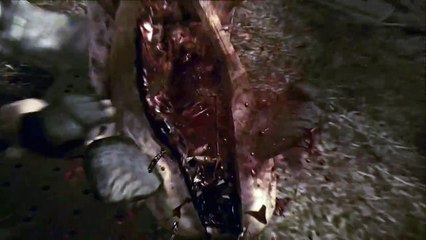 Resident Evil 5: Gold Edition online multiplayer - ps3