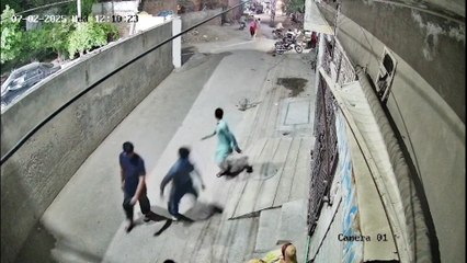 El terrible ataque de un león a una mujer y un niño