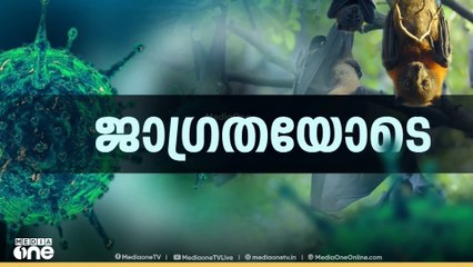 നിപ സ്ഥിരീകരിച്ചവരുടെ പ്രദേശത്ത് പനി സര്‍വൈലന്‍സ് നടത്തുമെന്ന് ആരോഗ്യ വകുപ്പ്