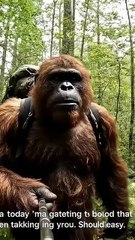 A Bigfoot short story  #viral #bigfoot #funny #bigfootvlog #foundfootage #vlog #ai #bigfootai #new