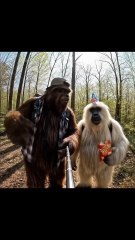 Anybody else have a cousin like Ralph 🤣 #bigfoot #bigfootvlog #yeti #comedy #magic #campycreatures