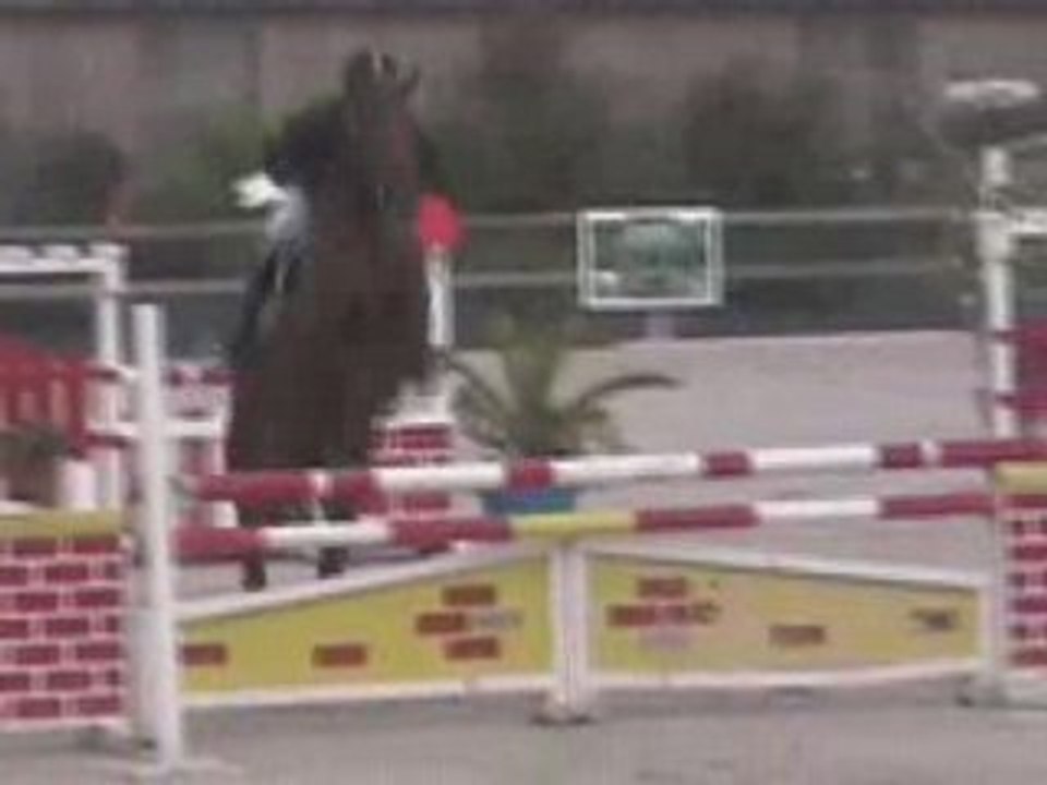 Echo Rouge Z, CIR 4 ans