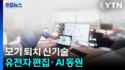 '여름밤 불청객' 모기 퇴치...유전자 편집· AI 동원 / YTN