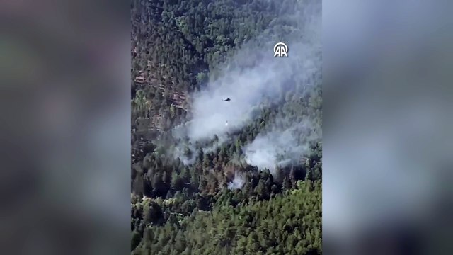 Bursa Uludağ\'da orman yangını! Kontrol altına alındı