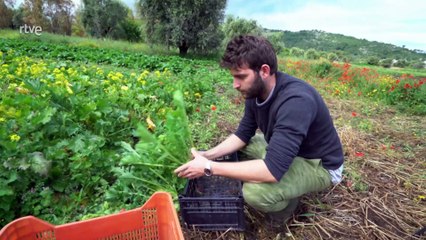 Apulia, las raíces de Italia