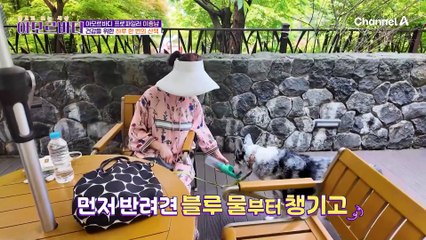 건강을 위한 하루 한 번의 산책, 산책 나갈 땐 발이 편한 운동화가 필수!