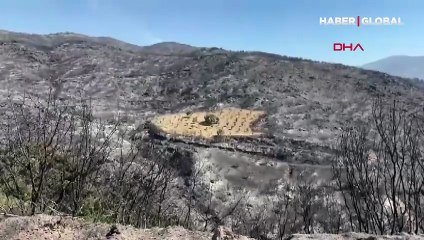 İzmir'de şaşkına çeviren görüntü: Sadece o bölge yanmadı!