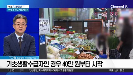 21일부터 소비쿠폰 지급…어떻게 받고 사용처는?