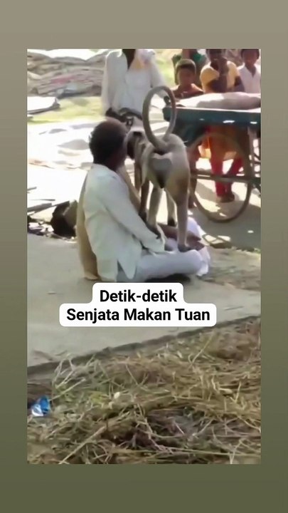 All wild animals cannot be tamed, watch the video