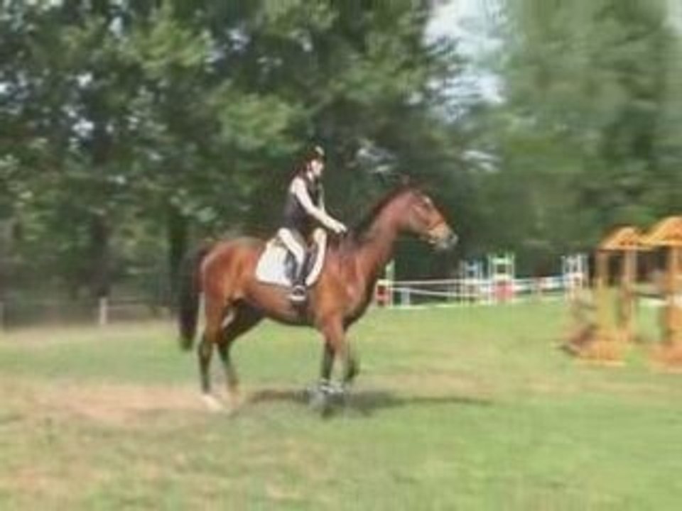 080510_cso_caro