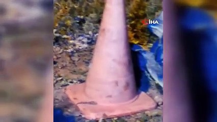 Bayburtlu vatandaşın ürkek tilkiyle imtihanı