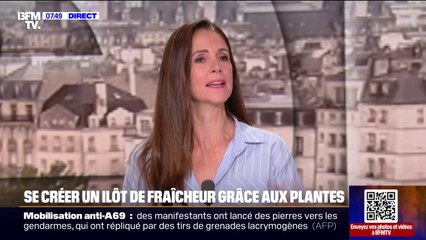 Voici comment créer un ilôt de fraicheur dans votre jardin grâce aux plantes