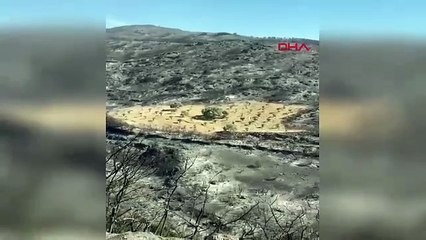 Görenler şaşırıyor; sadece o bölge yanmadı